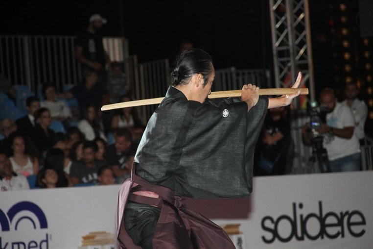 Martial Arts Festival